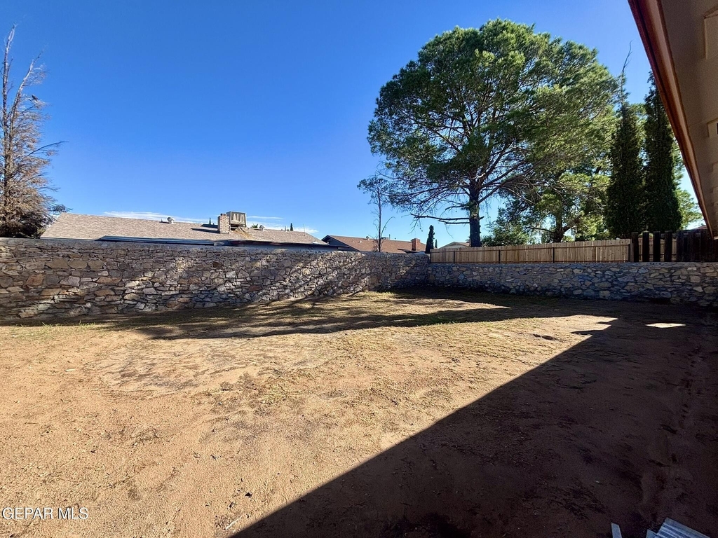 11137 Pink Coral Drive - Photo 14