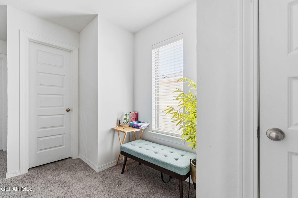 14508 Brianna Leah Drive - Photo 17