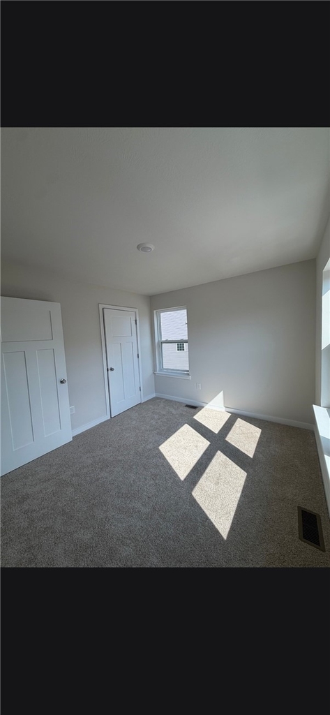 769 Olivia St - Photo 16