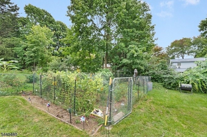 5 Dalrymple St - Photo 30