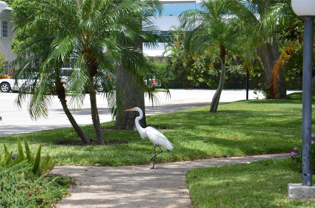 6201 Bay Club Drive - Photo 24