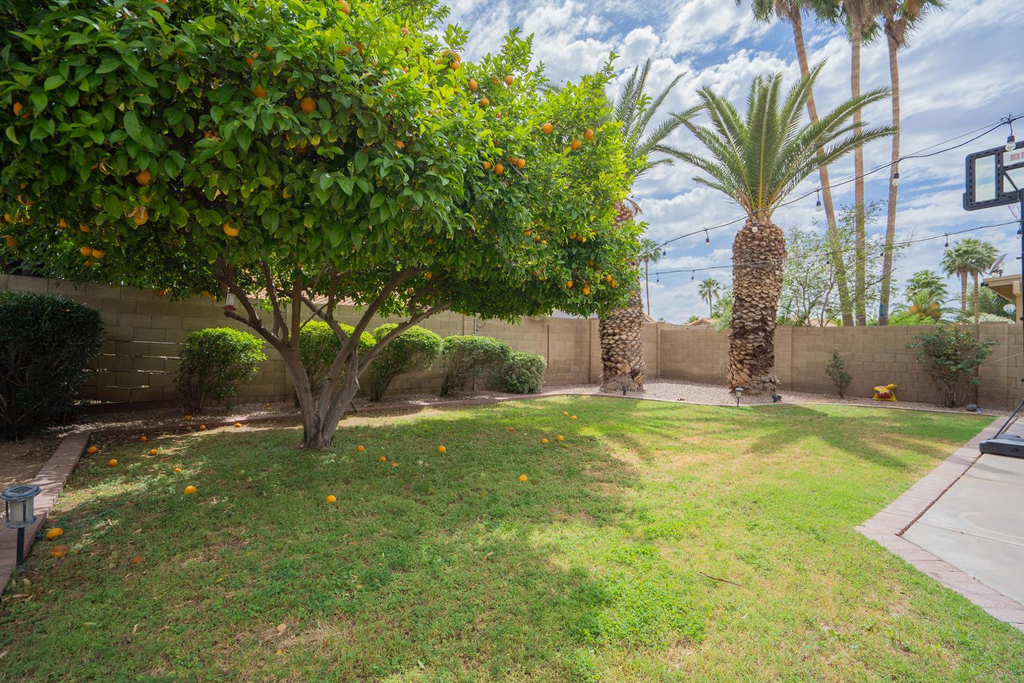 4613 E Desert Cactus Street - Photo 40