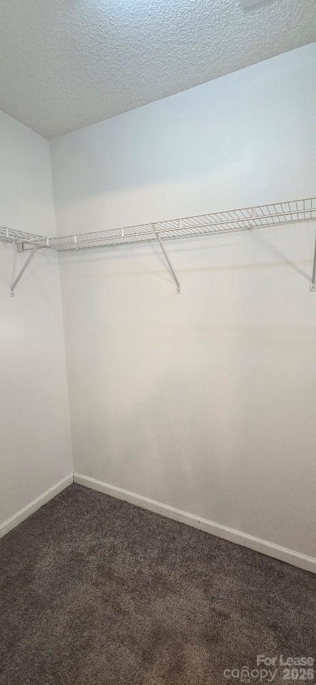 10623 Campion Court - Photo 20