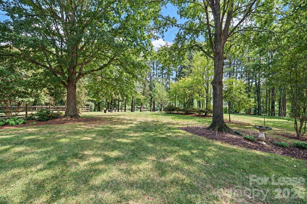 12428 Willingdon Road - Photo 42