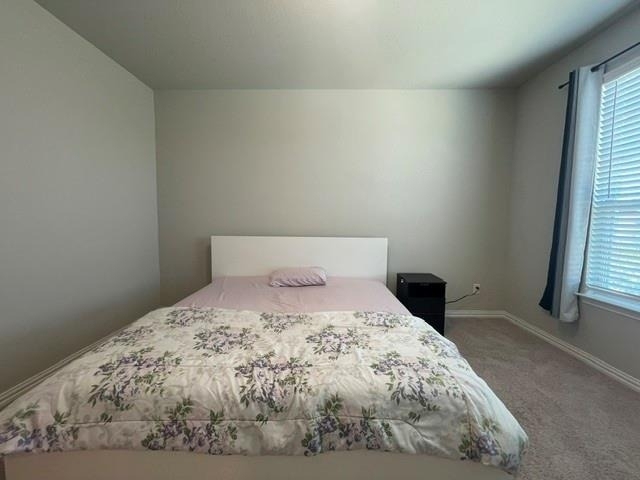 2924 Spirit Woods Lane - Photo 28