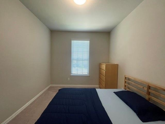 2924 Spirit Woods Lane - Photo 35