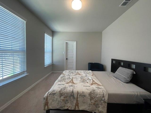 2924 Spirit Woods Lane - Photo 30