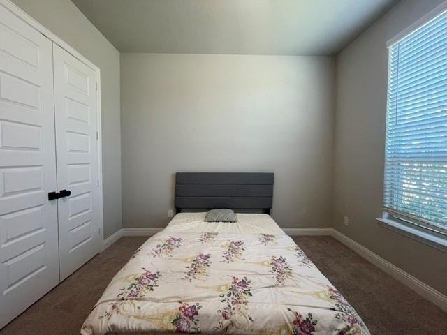 2924 Spirit Woods Lane - Photo 7