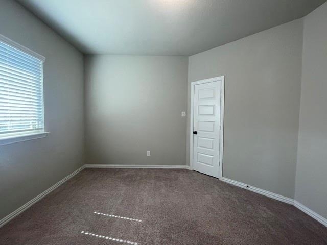 2924 Spirit Woods Lane - Photo 31