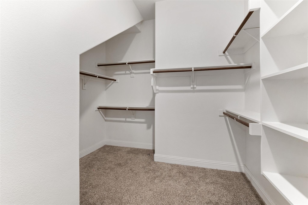 11020 Big Spring Trail - Photo 15