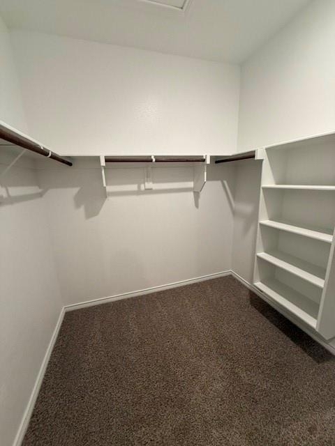 9904 Anyhow Drive - Photo 22