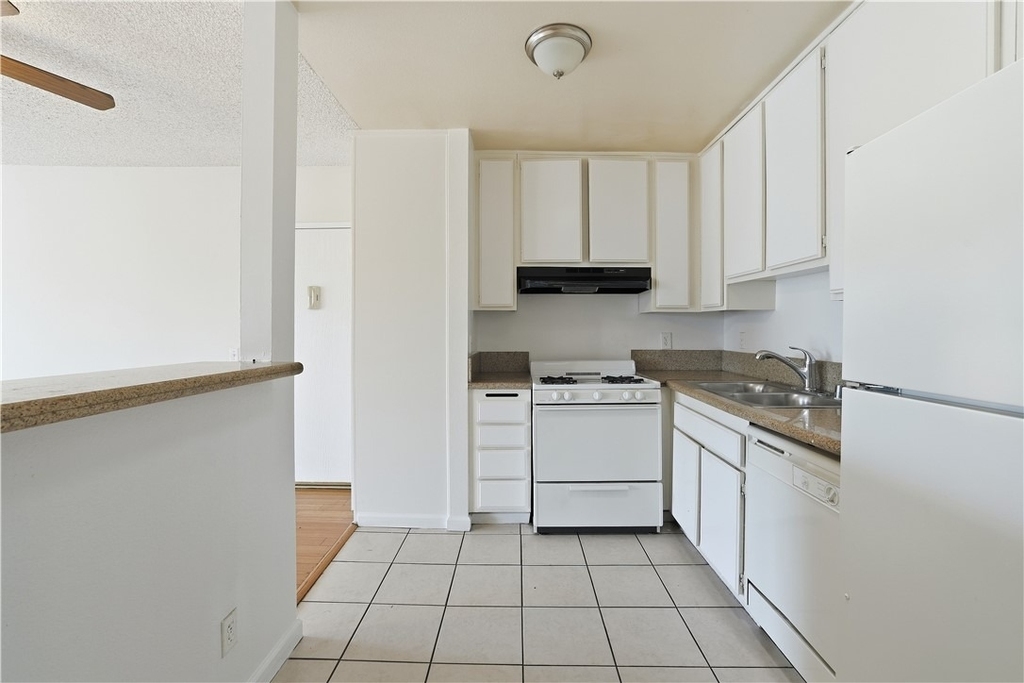 12203 Magnolia - Photo 7
