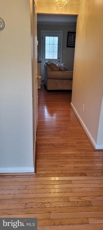 13503 Minion Street - Photo 3