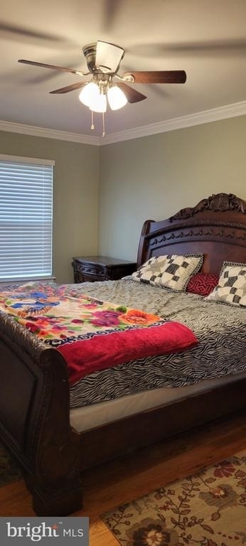 13503 Minion Street - Photo 11