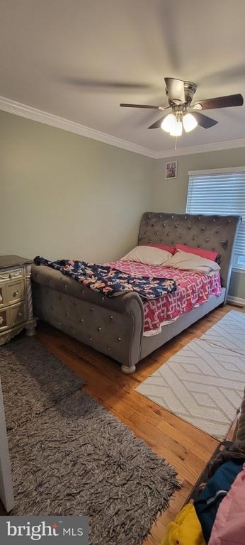 13503 Minion Street - Photo 12