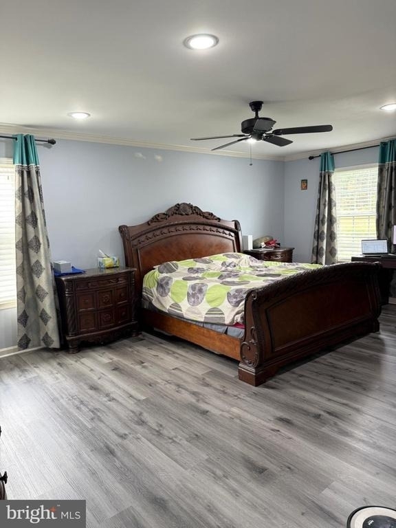 25615 Laughter Drive - Photo 16