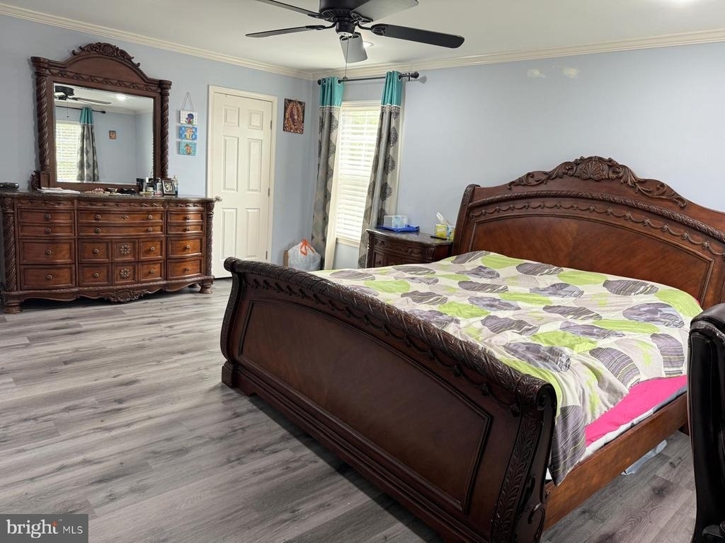 25615 Laughter Drive - Photo 11