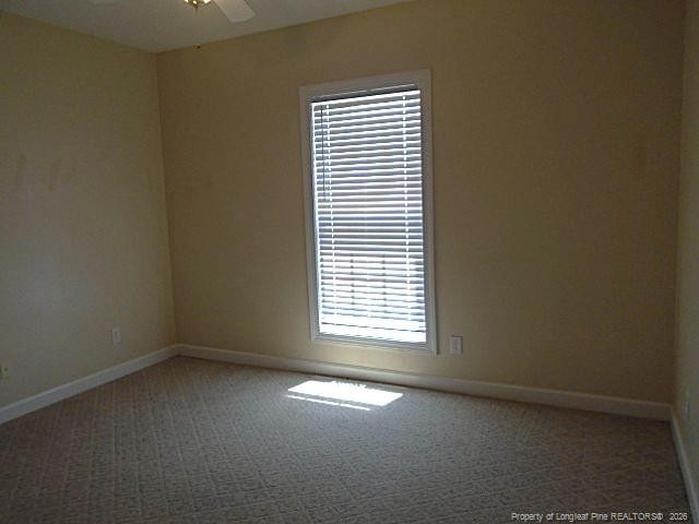 3604 Talus Road - Photo 13