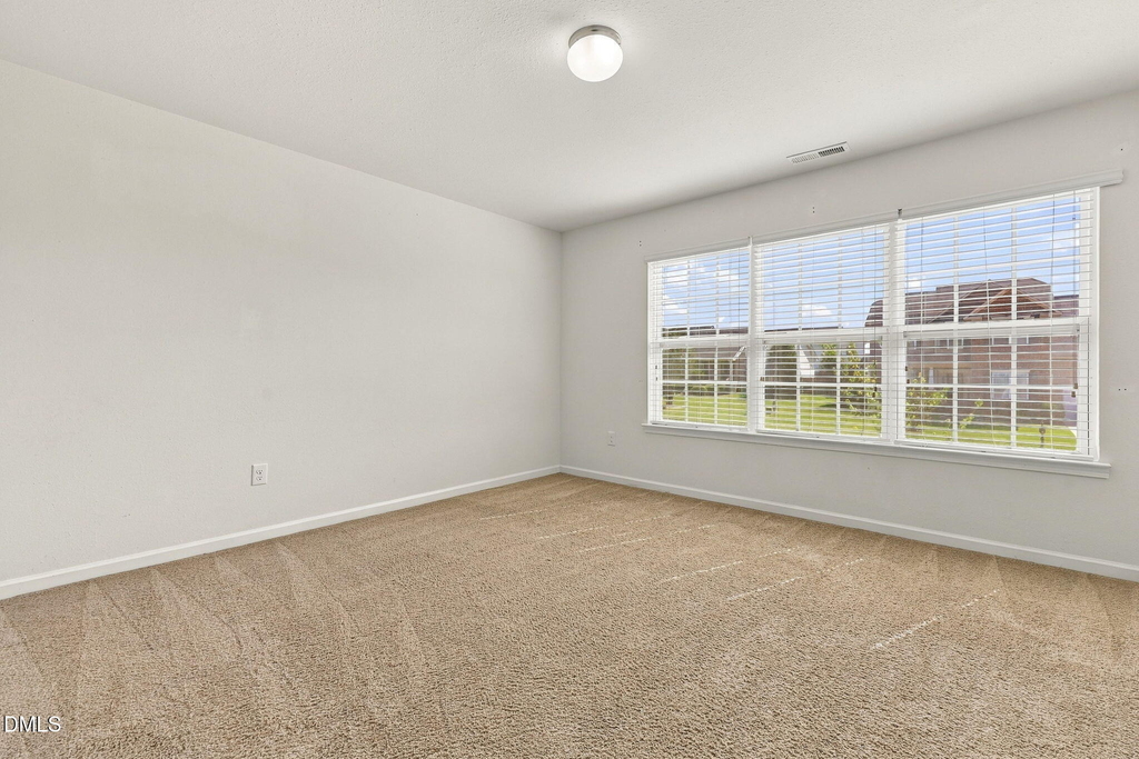 58 Botanical Court - Photo 29