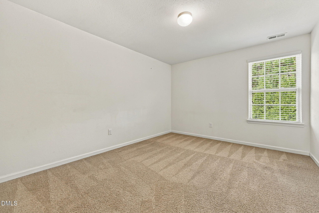 58 Botanical Court - Photo 43