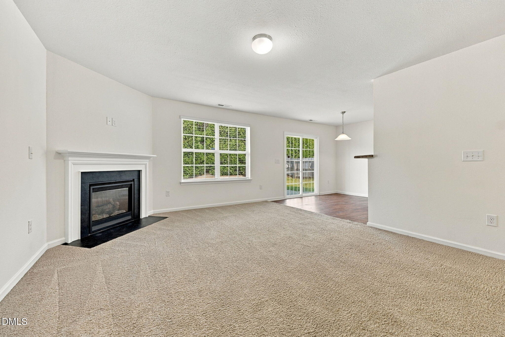 58 Botanical Court - Photo 19