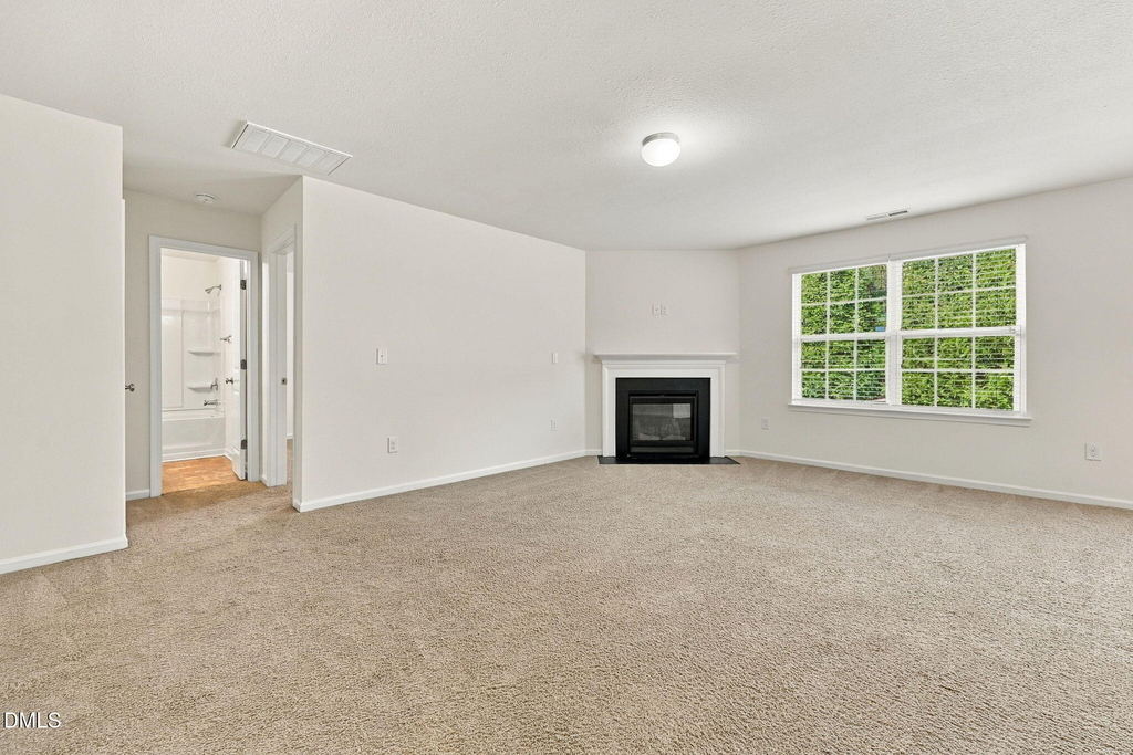 58 Botanical Court - Photo 18
