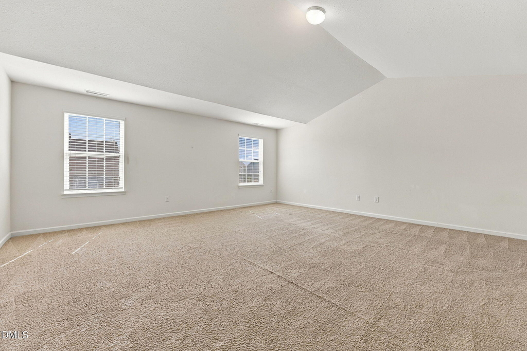 58 Botanical Court - Photo 37