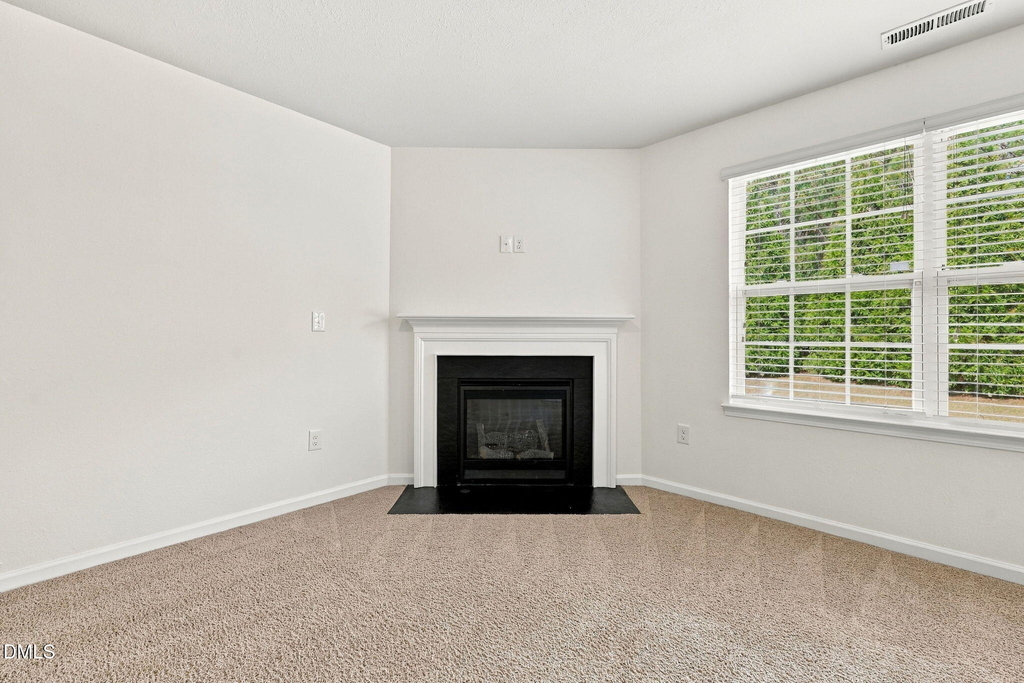 58 Botanical Court - Photo 20