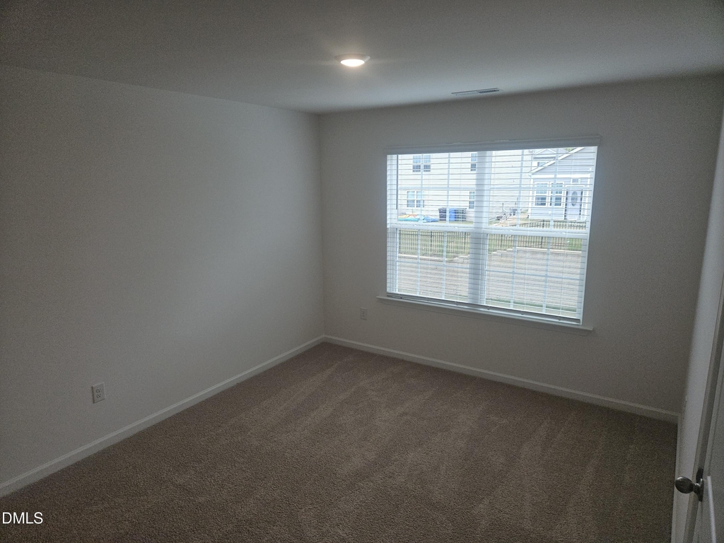 390 Hanging Elm Lane - Photo 16