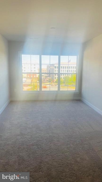 100 Saint Ives Place - Photo 6