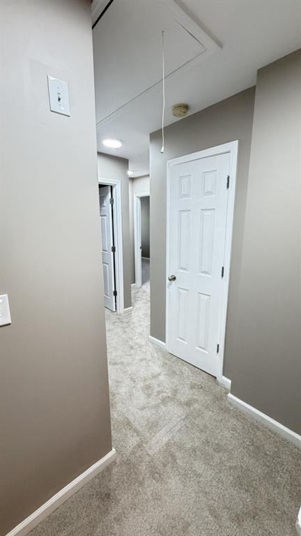 3116 Garrard Place - Photo 9