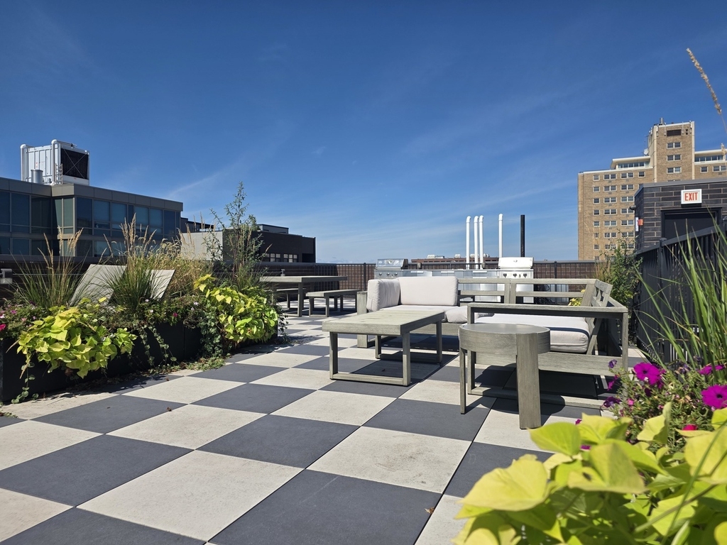 3217 N Clark Street - Photo 13