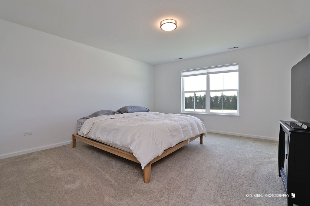 2490 Olivia Court - Photo 12