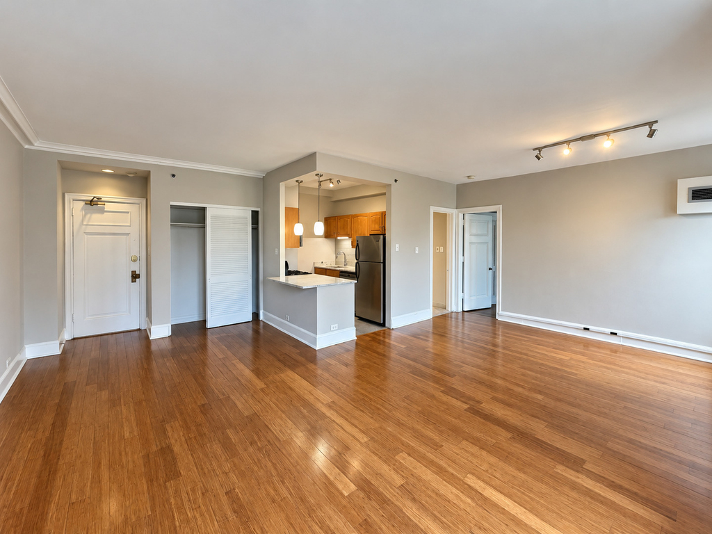 3170 N Sheridan Road - Photo 5