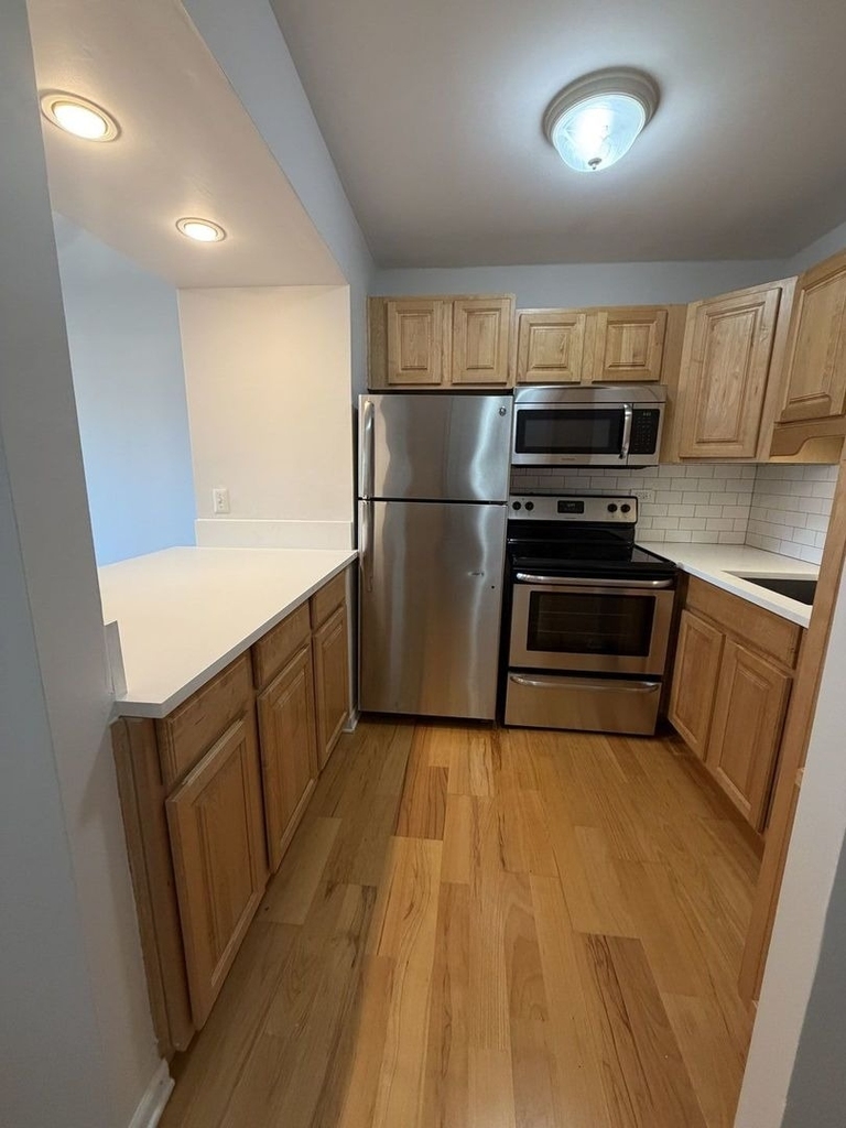 1255 N Sandburg Terrace - Photo 2
