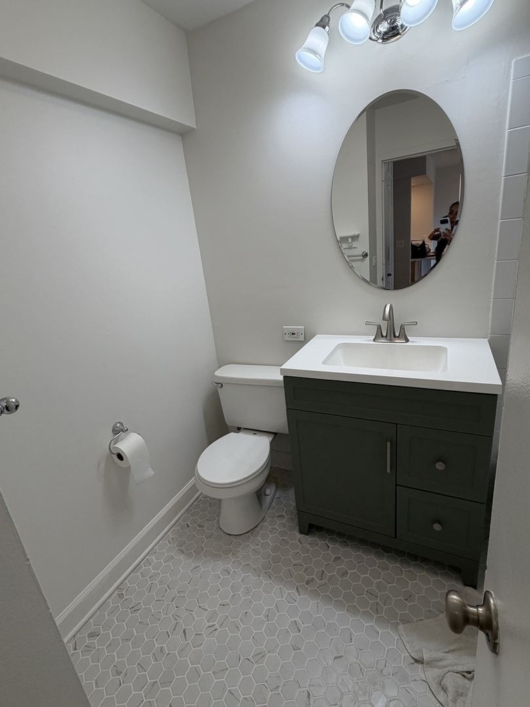 1255 N Sandburg Terrace - Photo 9