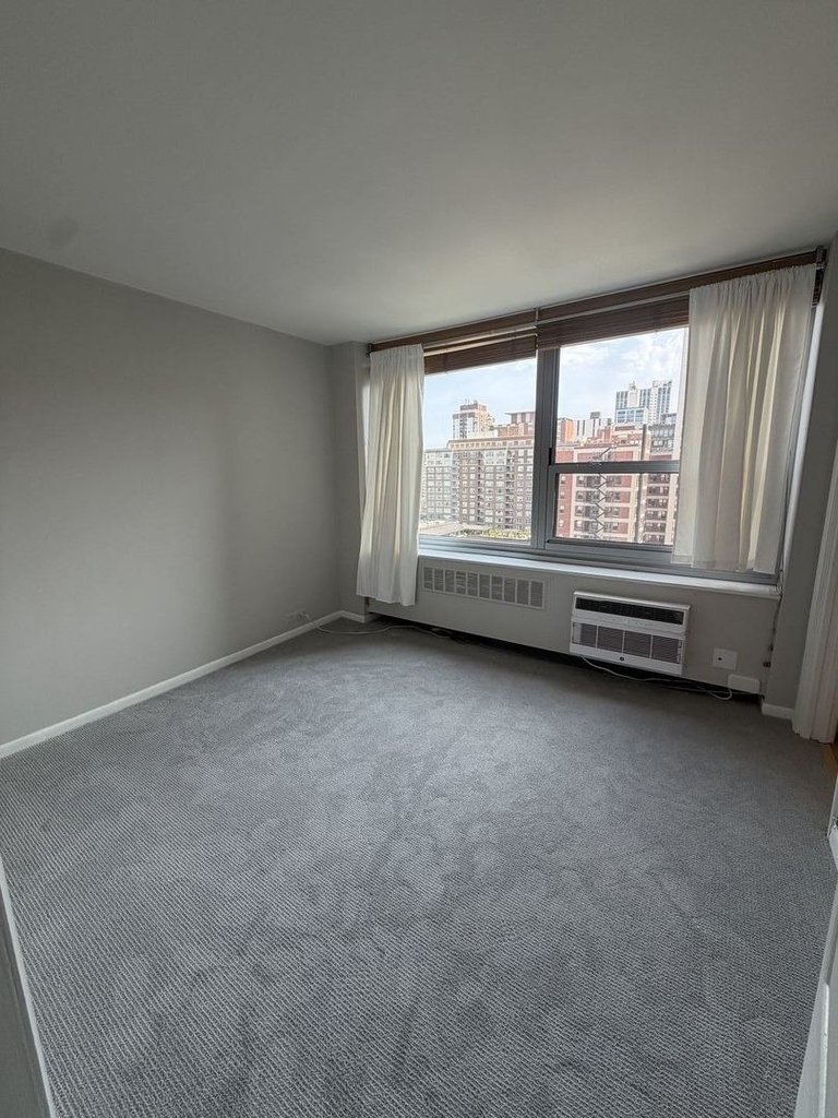 1255 N Sandburg Terrace - Photo 7