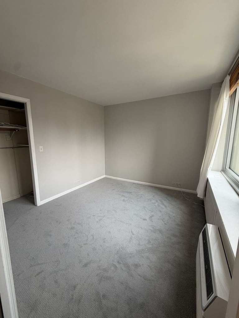 1255 N Sandburg Terrace - Photo 6