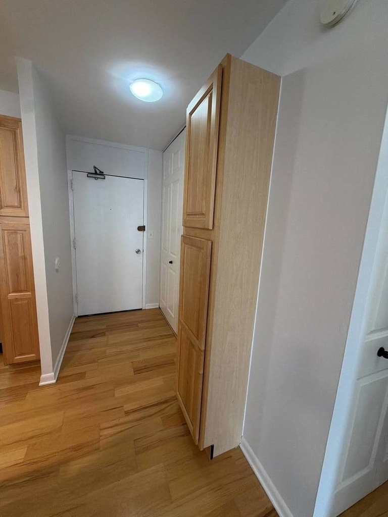 1255 N Sandburg Terrace - Photo 12