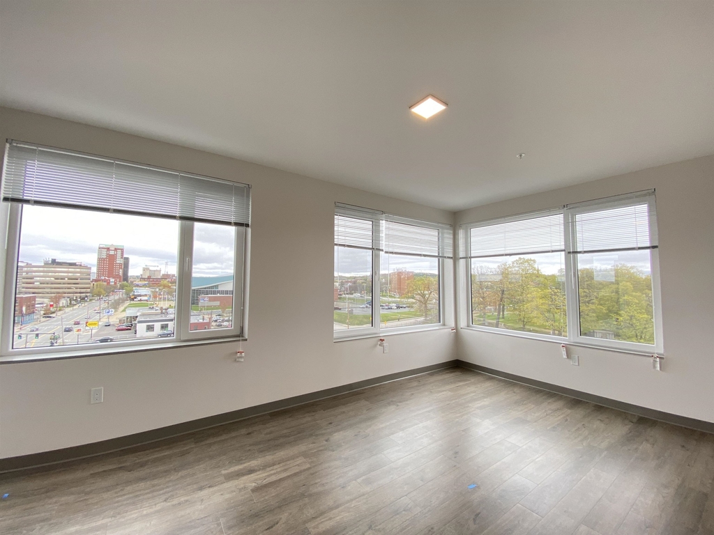 409 Elm - Photo 11