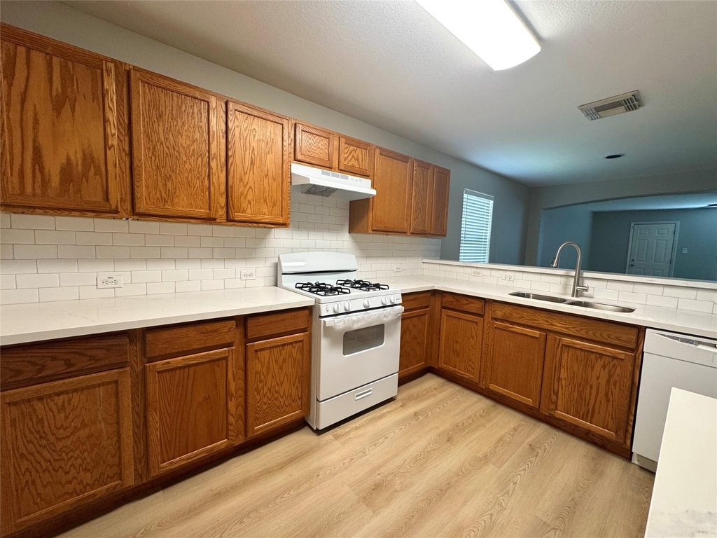 18714 Desert Marigold Drive - Photo 12