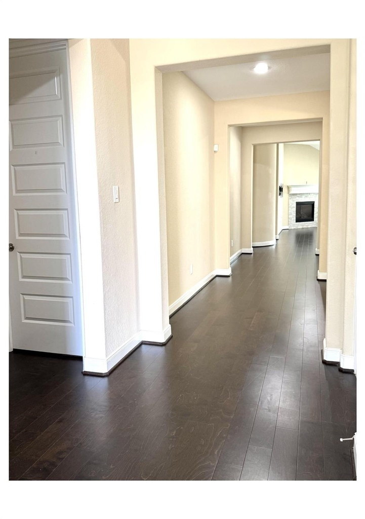 27034 Triana River Circle - Photo 4