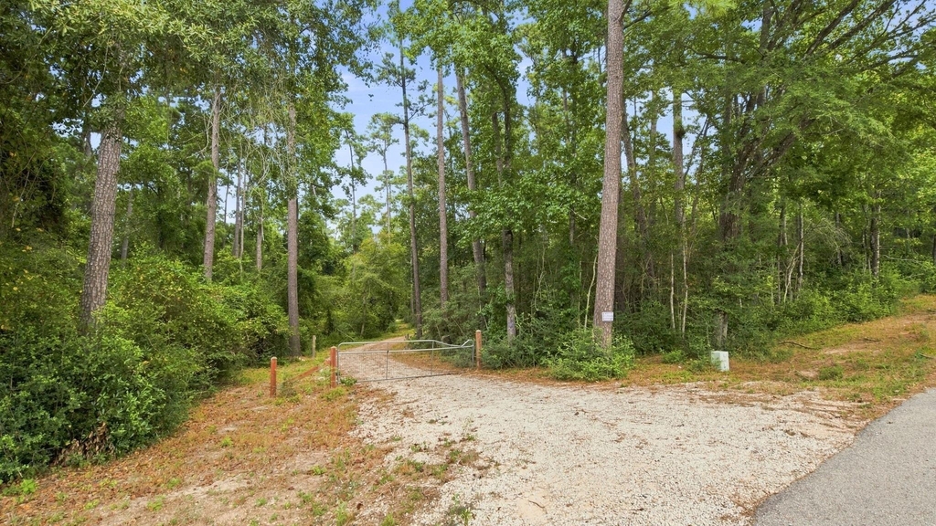 14010 Lewis Lane - Photo 5