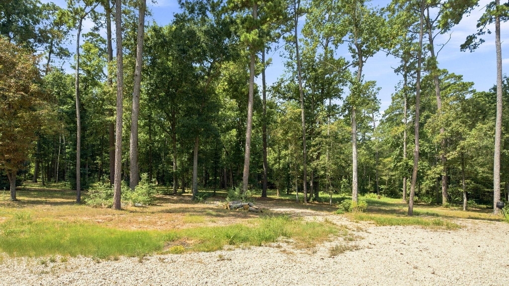 14010 Lewis Lane - Photo 34