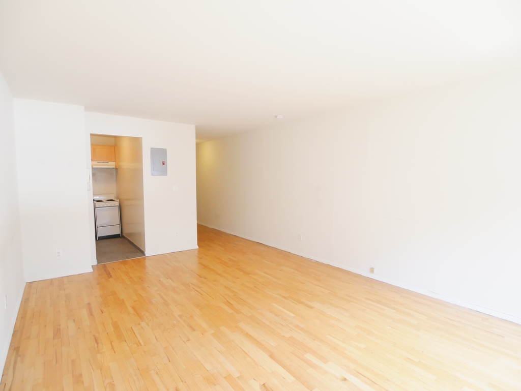 423 East 90th Street - Photo 3