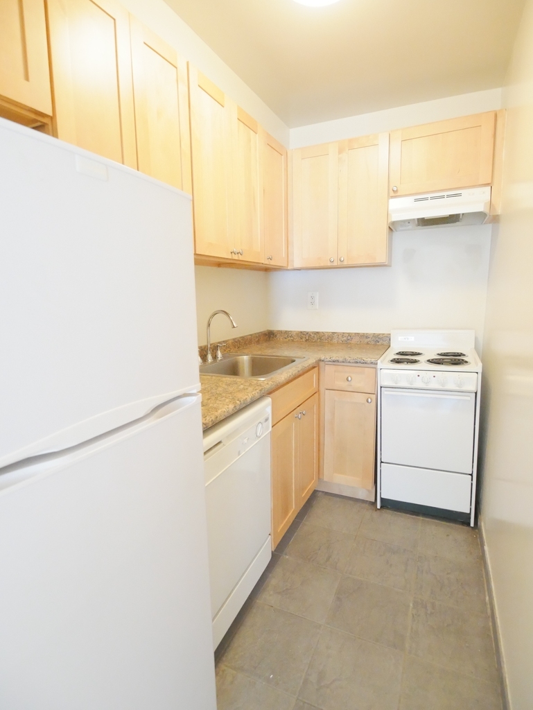 423 East 90th Street - Photo 4