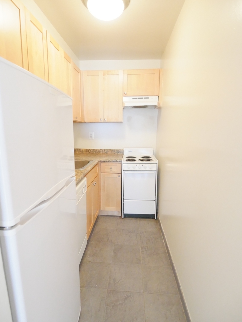 423 East 90th Street - Photo 5