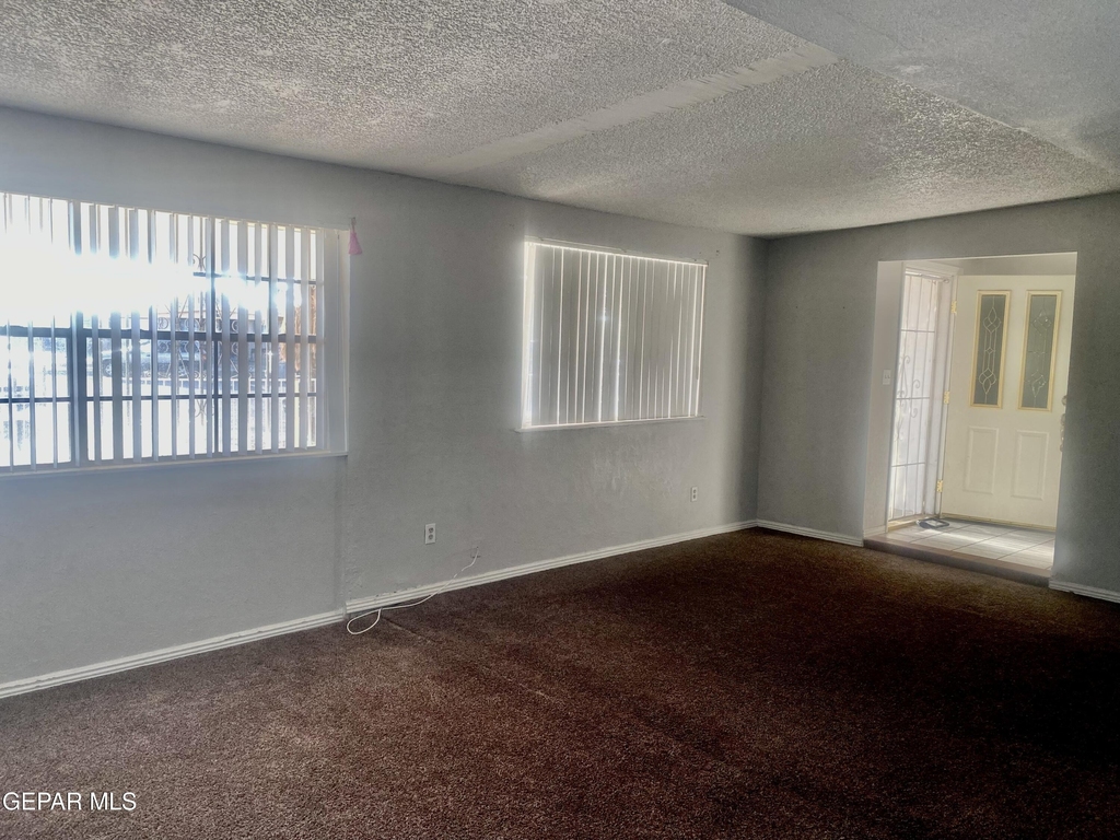 8210 Marfil Drive - Photo 3