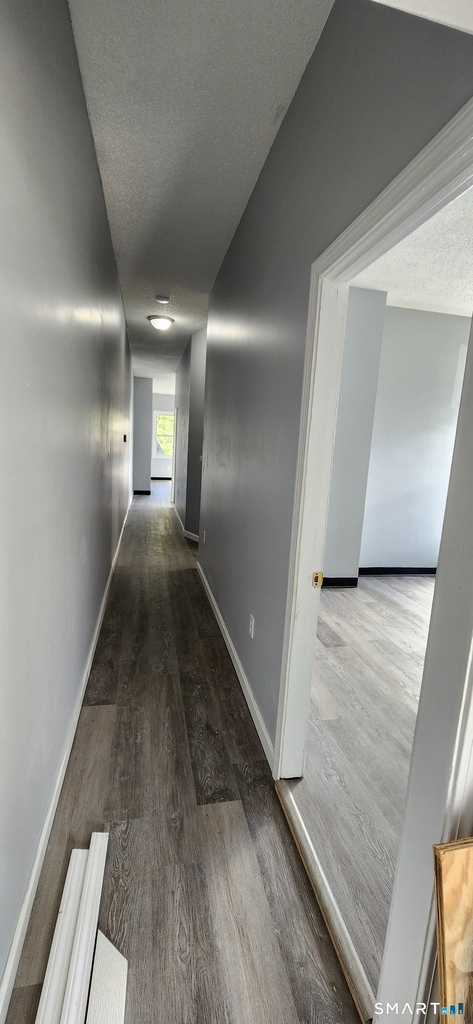 24 Meadow Street - Photo 7