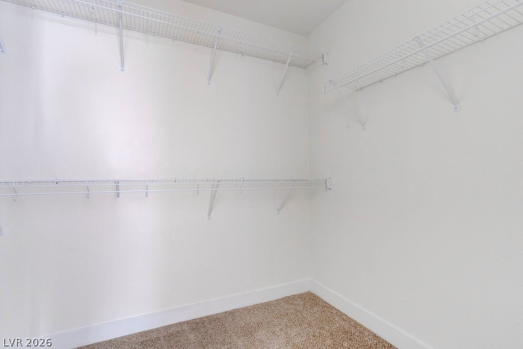 3164 Degas Tapestry Avenue - Photo 20